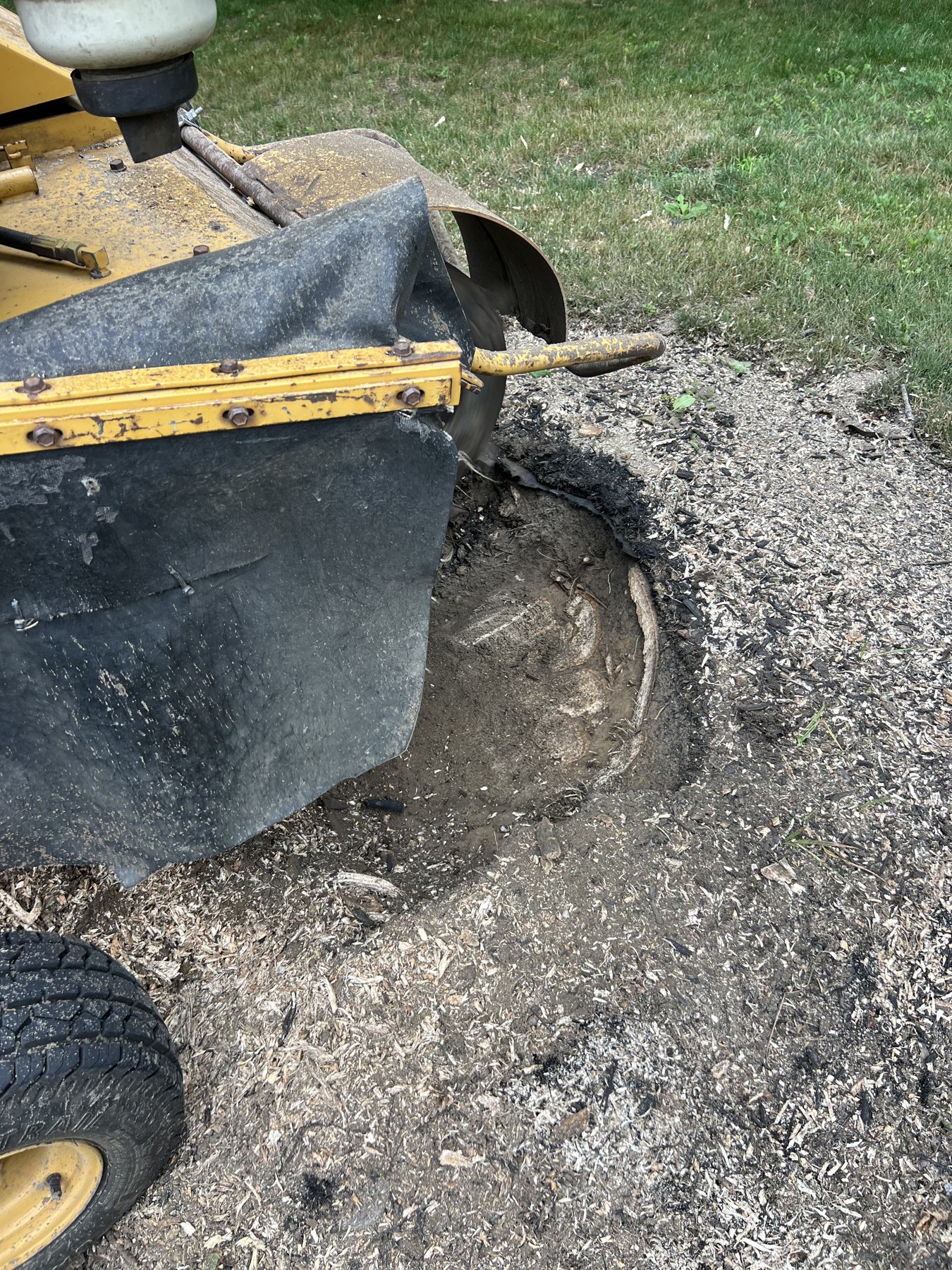 Front yard stump grinding — after
