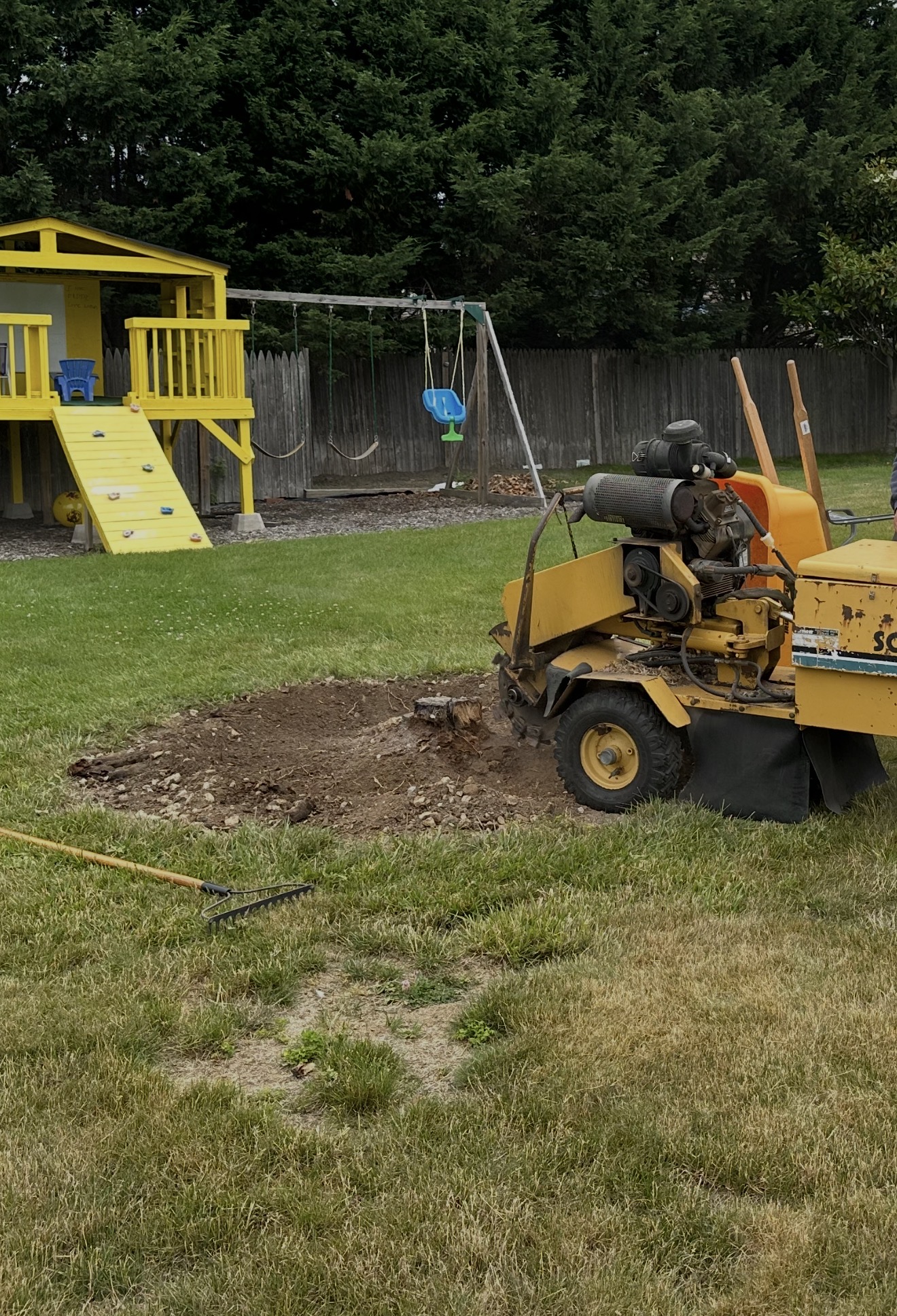 Backyard stump removal — before