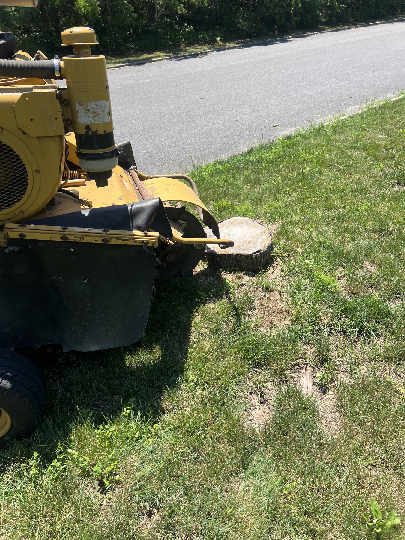 Roadside stump grind-down — before