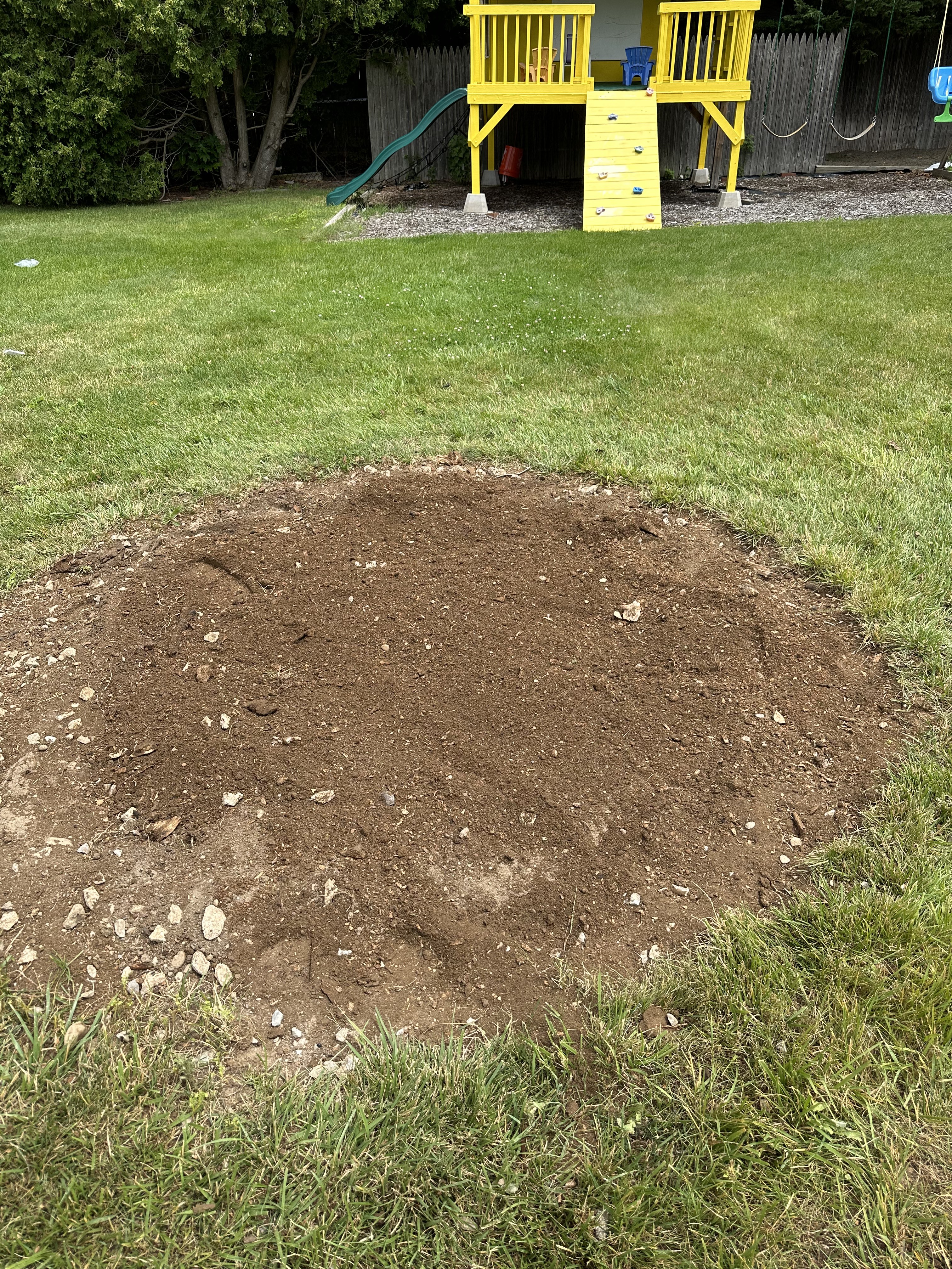 Backyard stump removal — after